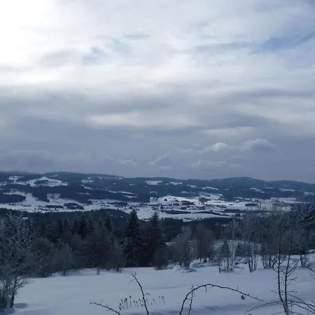 Spacious For 4 People With Balcony And Panoramic View Nyaraló Neureichenau